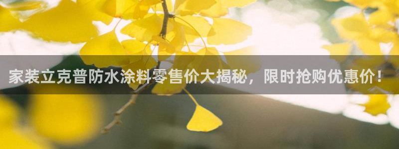 官方和记国际平台登录：家装立克普防水涂料零售价大揭秘，限时抢购优惠价！