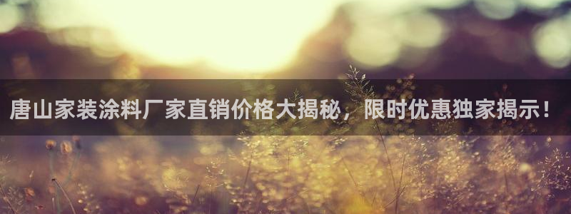 和记ag旗舰厅app：唐山家装涂料厂家直销价格大揭秘，限时优惠独家揭示！