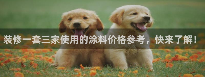 和记官方网站：装修一套三家使用的涂料价格参考，快来了解！