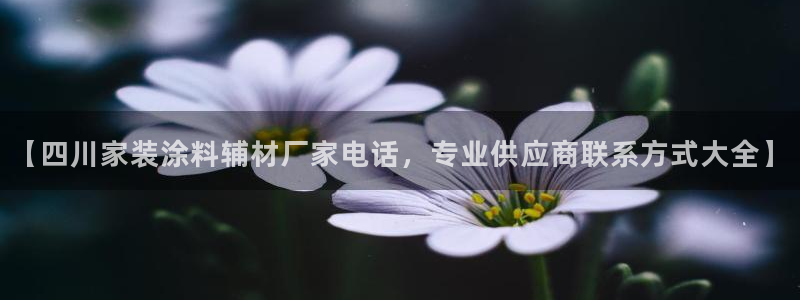 和记(福建)商贸有限公司：【四川家装涂料辅材厂家电话，专业供应商联系方式大全】