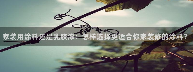 和记最新官方网址