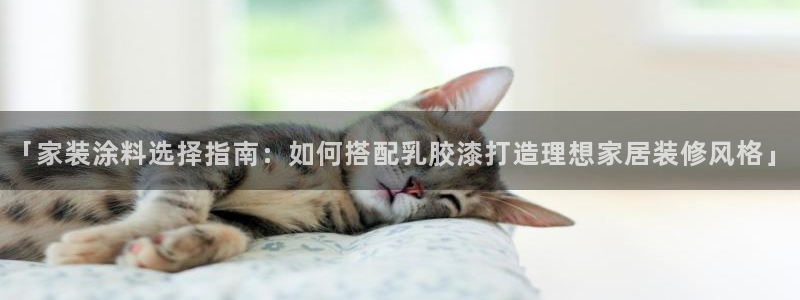 上海和记餐饮：「家装涂料选择指南：如何搭配乳胶漆打造理想家居装修风格」