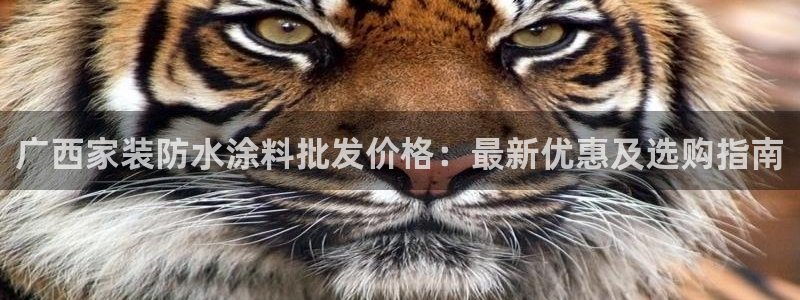 和记平台登陆：广西家装防水涂料批发价格：最新优惠及选购指南