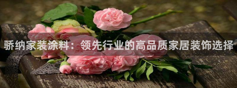 和记国际官网官网：骄纳家装涂料：领先行业的高品质家居装饰选择