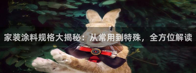 和记官方直营注册：家装涂料规格大揭秘：从常用到特殊，全方位解读