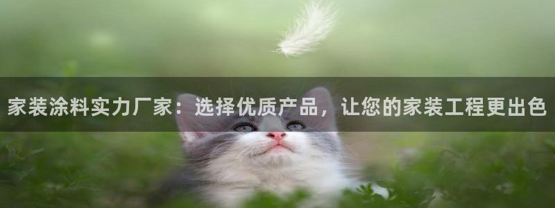 和记2017app：家装涂料实力厂家：选择优质产品，让您的家装工程更出色