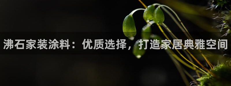 和记国际开户网站