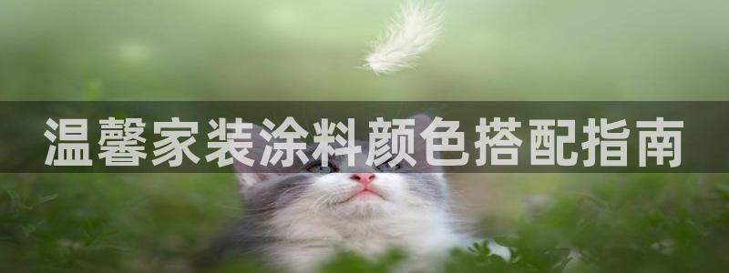 和记官网：温馨家装涂料颜色搭配指南