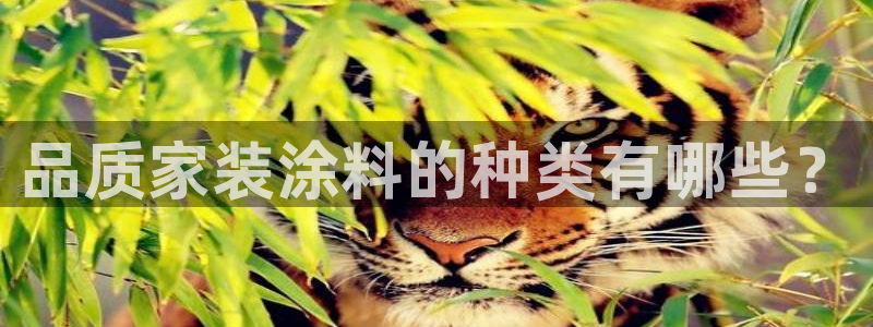 和记ag旗舰厅：品质家装涂料的种类有哪些？