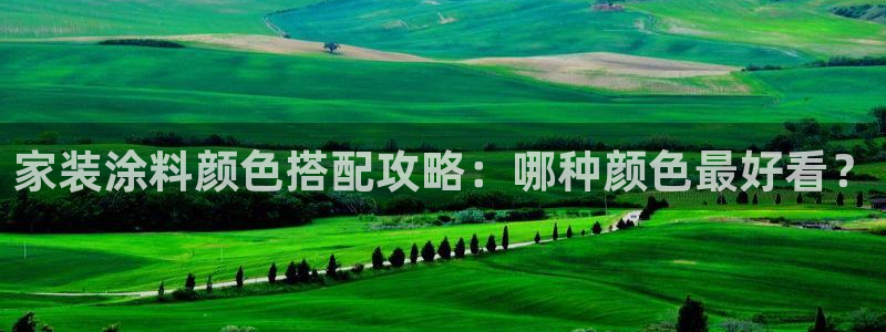 和记网页版登陆：家装涂料颜色搭配攻略：哪种颜色最好看？