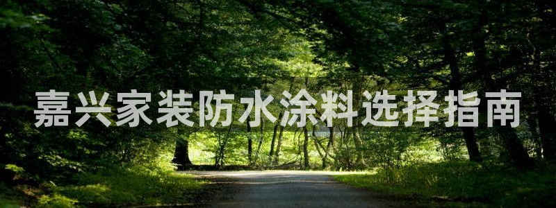 深圳和记科技有限公司：嘉兴家装防水涂料选择指南