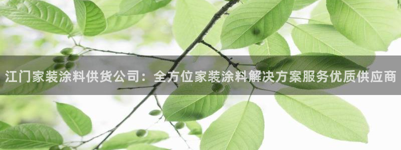 和记paging：江门家装涂料供货公司：全方位家装涂料解决方案服务优质供应商