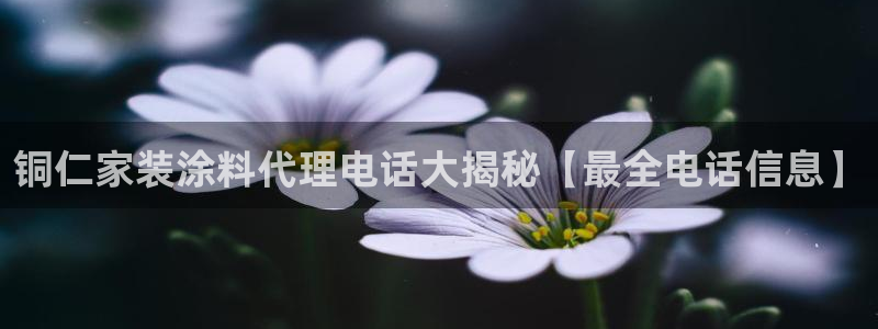 和记 官网：铜仁家装涂料代理电话大揭秘【最全电话信息】