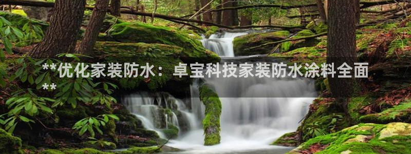 和记(福建)商贸有限公司招聘：**优化家装防水：卓宝科技家装防水涂料全面
**