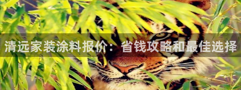 深圳和记科技有限公司：清远家装涂料报价：省钱攻略和最佳选择