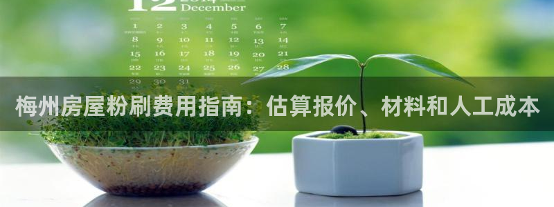 和记 中国官网：梅州房屋粉刷费用指南：估算报价、材料和人工成本