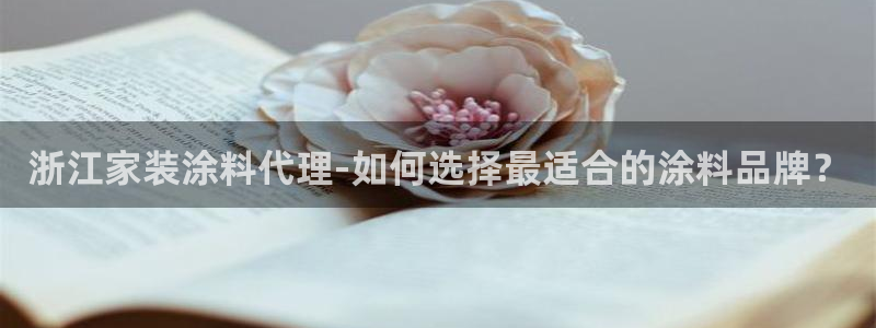和记 中国首页