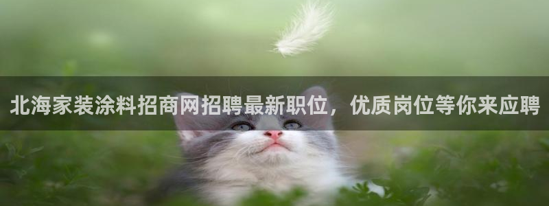 上海和记餐饮有限公司：北海家装涂料招商网招聘最新职位，优质岗位等你来应聘