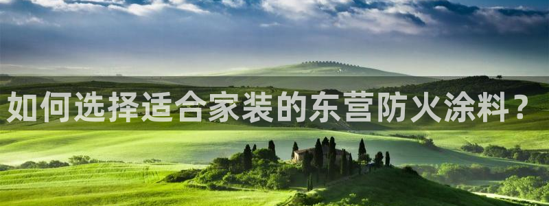 和记app官网登录：如何选择适合家装的东营防火涂料？