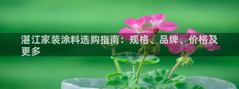 和记ag登录