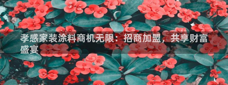 和记官网登陆：孝感家装涂料商机无限：招商加盟，共享财富
盛宴