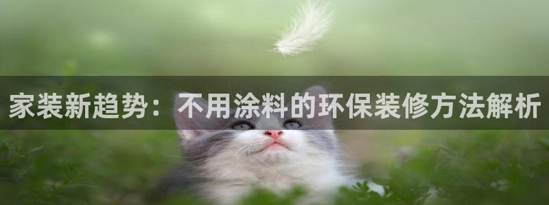 ag和记app：家装新趋势：不用涂料的环保装修方法解析