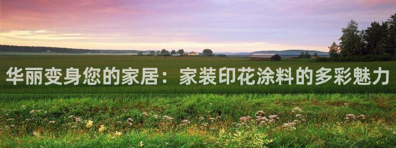 和记ag捕鱼害死多少人：华丽变身您的家居：家装印花涂料的多彩魅力