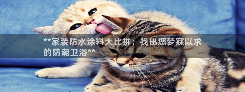和记国际听