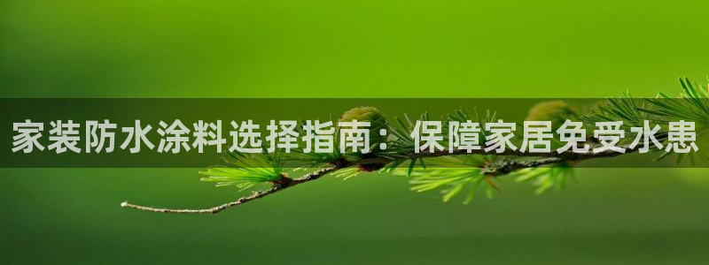 和记paging