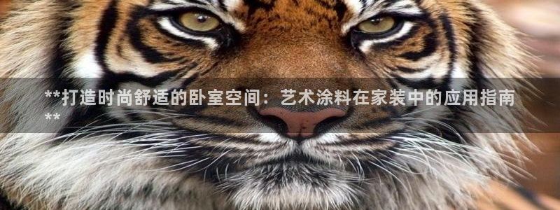 和记h8