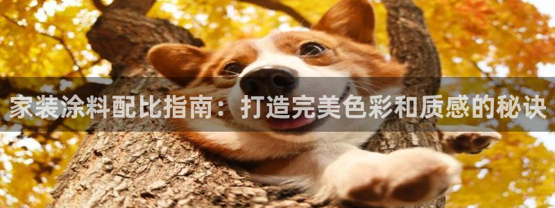 和记电业集团
