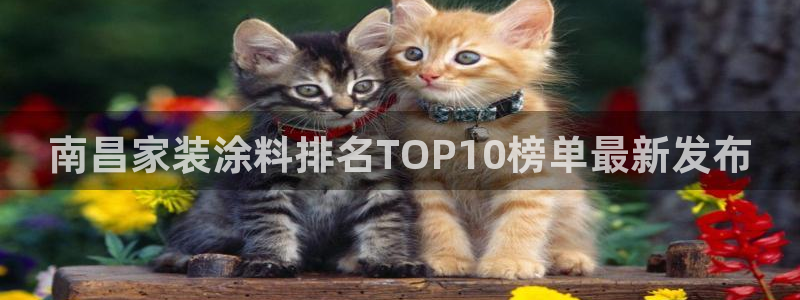 和记平台下载