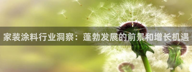 和记最新官方网址：家装涂料行业洞察：蓬勃发展的前景和增长机遇