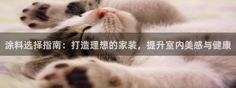 和记官方直营注册导航：涂料选择指南：打造理想的家装，提升室内