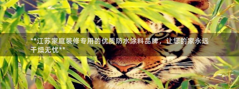 和记国际：**江苏家庭装修专用的优质防水涂料品牌，让您的家永远
干燥无忧**