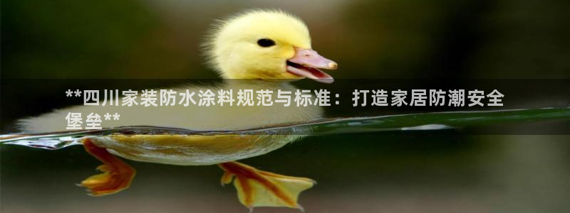 和记下载：**四川家装防水涂料规范与标准：打造家居防潮安全
