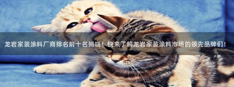 和记 首页：龙岩家装涂料厂商排名前十名揭晓！快来了解龙岩家装涂料市场的领先品牌们！