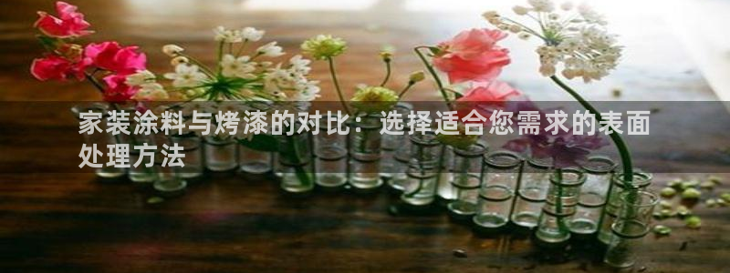 和记 首页：家装涂料与烤漆的对比：选择适合您需求的表面
处理方法