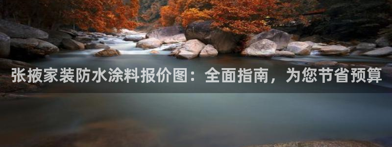 和记平台官方网：张掖家装防水涂料报价图：全面指南，为您节省预算