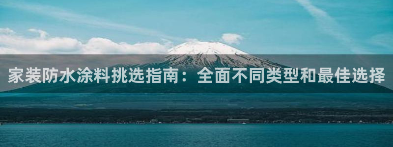 和记国际官网官网：家装防水涂料挑选指南：全面不同类型和最佳选择