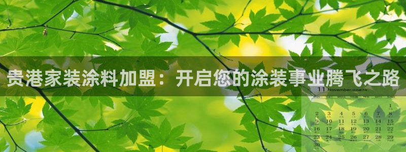和记h188：贵港家装涂料加盟：开启您的涂装事业腾飞之路