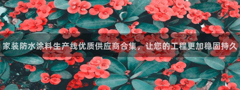 和记电业集团：家装防水涂料生产线优质供应商合集，让您的工程更加稳固持久