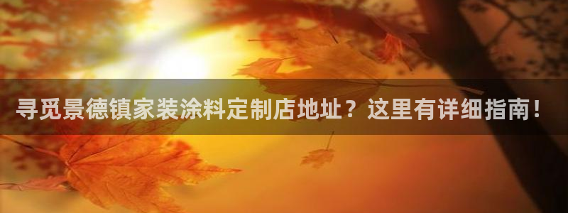 和记app官网登录：寻觅景德镇家装涂料定制店地址？这里有详细