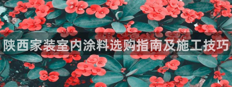和记H88：陕西家装室内涂料选购指南及施工技巧
