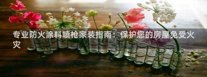 和记 首页：专业防火涂料喷枪家装指南：保护您的房屋免受火
灾
