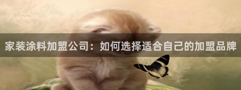 官方和记国际平台登录：家装涂料加盟公司：如何选择适合自己的加盟品牌