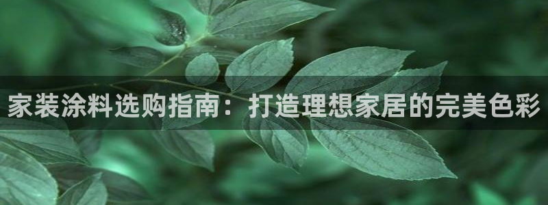 和记最新官方网址：家装涂料选购指南：打造理想家居的完美色彩