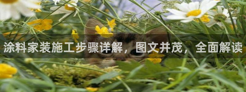 和记国际听：涂料家装施工步骤详解，图文并茂，全面解读