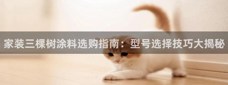 和记广告女主角
